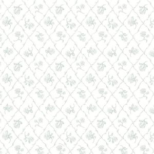 2668-21505 ― Eades Discount Wallpaper & Discount Fabric
