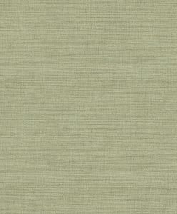 2814-AR-40124 ― Eades Discount Wallpaper & Discount Fabric