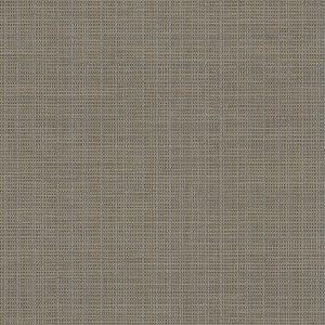 3118-016911 ― Eades Discount Wallpaper & Discount Fabric