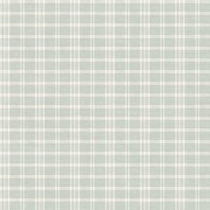 3119-02147 ― Eades Discount Wallpaper & Discount Fabric