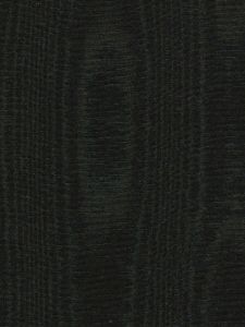 5003524 ― Eades Discount Wallpaper & Discount Fabric