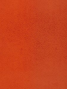 5005852 ― Eades Discount Wallpaper & Discount Fabric