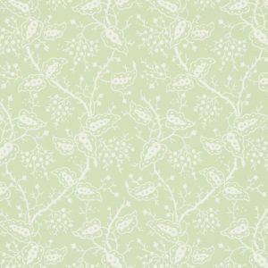 5010181 ― Eades Discount Wallpaper & Discount Fabric