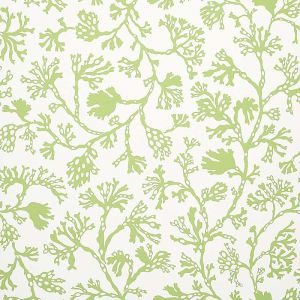 5012131 ― Eades Discount Wallpaper & Discount Fabric