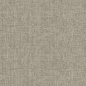AC60041 ― Eades Discount Wallpaper & Discount Fabric