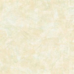 AE30704 ― Eades Discount Wallpaper & Discount Fabric