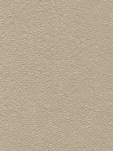 AQ421972 ― Eades Discount Wallpaper & Discount Fabric