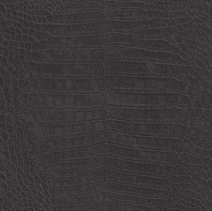 AQ474107 ― Eades Discount Wallpaper & Discount Fabric