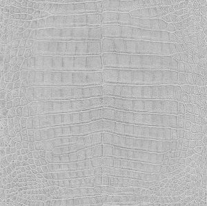 AQ474145 ― Eades Discount Wallpaper & Discount Fabric