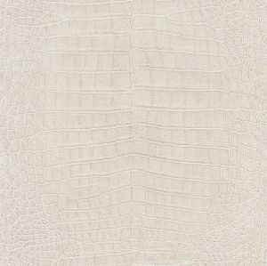 AQ474152 ― Eades Discount Wallpaper & Discount Fabric