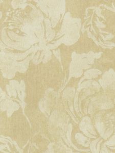 AS70407  ― Eades Discount Wallpaper & Discount Fabric