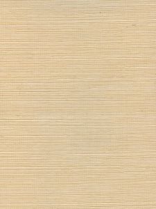 BA335  ― Eades Discount Wallpaper & Discount Fabric