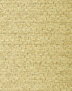 BA418 ― Eades Discount Wallpaper & Discount Fabric