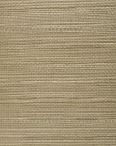 BA433 ― Eades Discount Wallpaper & Discount Fabric