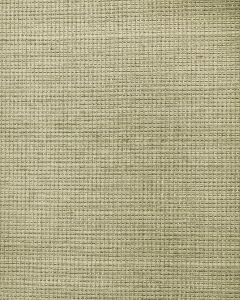 BA437 ― Eades Discount Wallpaper & Discount Fabric