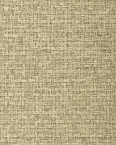 BA439 ― Eades Discount Wallpaper & Discount Fabric