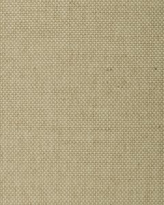 BA445 ― Eades Discount Wallpaper & Discount Fabric