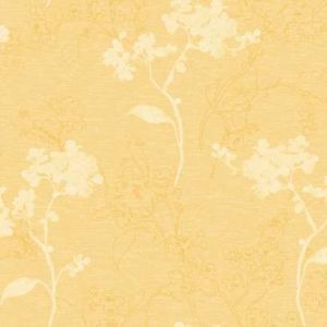BR6210 ― Eades Discount Wallpaper & Discount Fabric