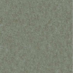 BR6289 ― Eades Discount Wallpaper & Discount Fabric