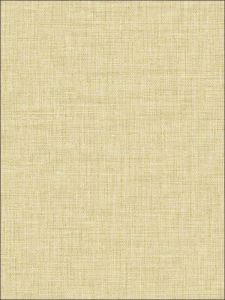 BV30203 ― Eades Discount Wallpaper & Discount Fabric