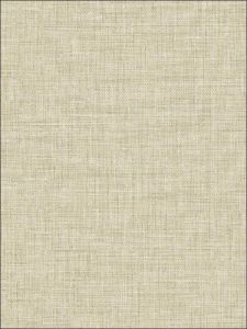 BV30207 ― Eades Discount Wallpaper & Discount Fabric