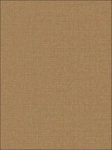 BV30316 ― Eades Discount Wallpaper & Discount Fabric