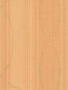 CV5349 ― Eades Discount Wallpaper & Discount Fabric