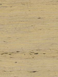 D90059  ― Eades Discount Wallpaper & Discount Fabric