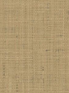 EWR6239  ― Eades Discount Wallpaper & Discount Fabric