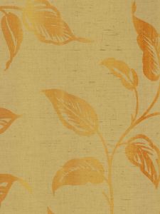 KY51905  ― Eades Discount Wallpaper & Discount Fabric