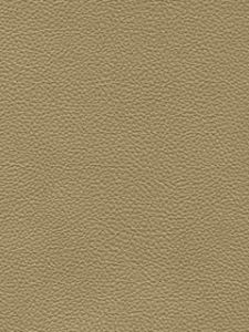 MG62141  ― Eades Discount Wallpaper & Discount Fabric
