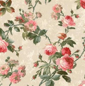 NF51101 ― Eades Discount Wallpaper & Discount Fabric