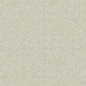 NR1541 ― Eades Discount Wallpaper & Discount Fabric