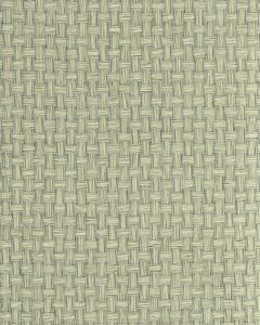 NS7017 ― Eades Discount Wallpaper & Discount Fabric