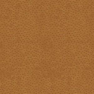 NT9005 ― Eades Discount Wallpaper & Discount Fabric
