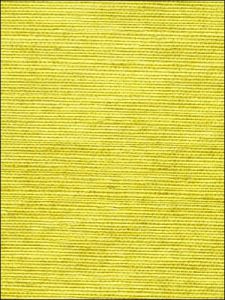 PO139 ― Eades Discount Wallpaper & Discount Fabric
