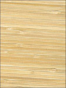 PO152 ― Eades Discount Wallpaper & Discount Fabric