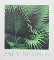 Palm Springs by Kenneth James