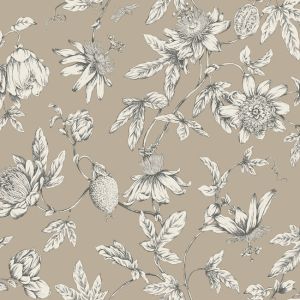 RT7852 ― Eades Discount Wallpaper & Discount Fabric