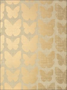 T11051 ― Eades Discount Wallpaper & Discount Fabric