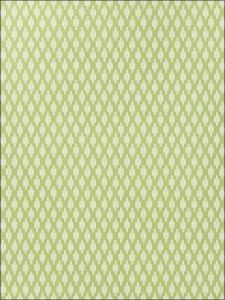 T24325 ― Eades Discount Wallpaper & Discount Fabric