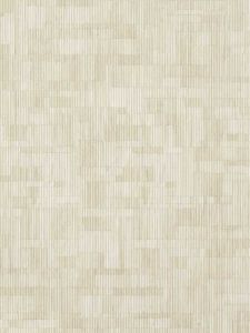 T41019 ― Eades Discount Wallpaper & Discount Fabric