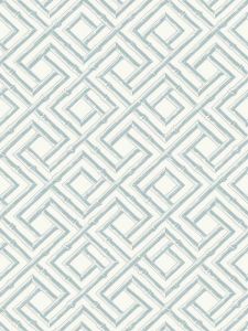 T42050 ― Eades Discount Wallpaper & Discount Fabric