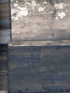 WW518 ― Eades Discount Wallpaper & Discount Fabric