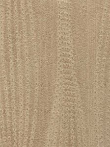 ZV6894W ― Eades Discount Wallpaper & Discount Fabric