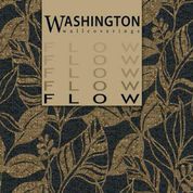 Flow by Washington