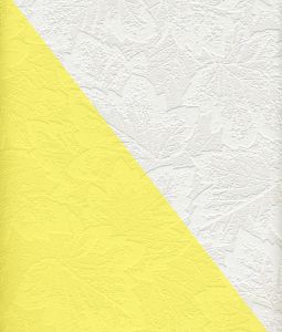 16040 ― Eades Discount Wallpaper & Discount Fabric