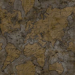 16658 ― Eades Discount Wallpaper & Discount Fabric