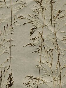 17665517  ― Eades Discount Wallpaper & Discount Fabric