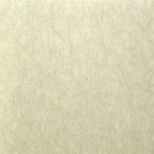 2446-83569 ― Eades Discount Wallpaper & Discount Fabric